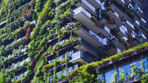 Read more about the article Why Eco-Friendly Businesses Are Thriving in Today’s Market